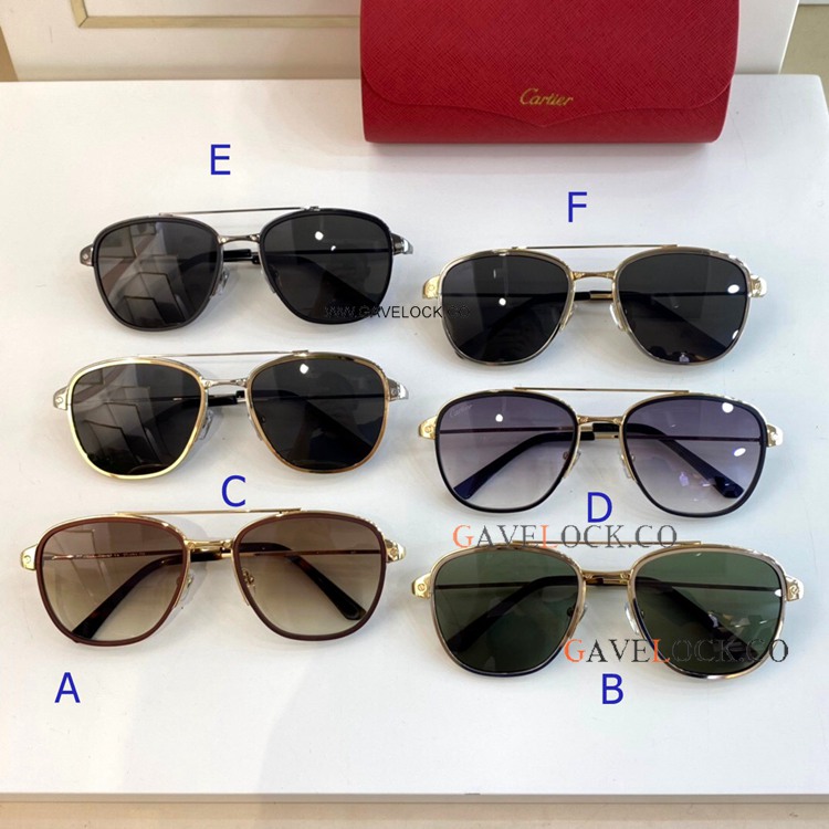 Copy Santos de Cartier CT0326 Sunglasses Square frames